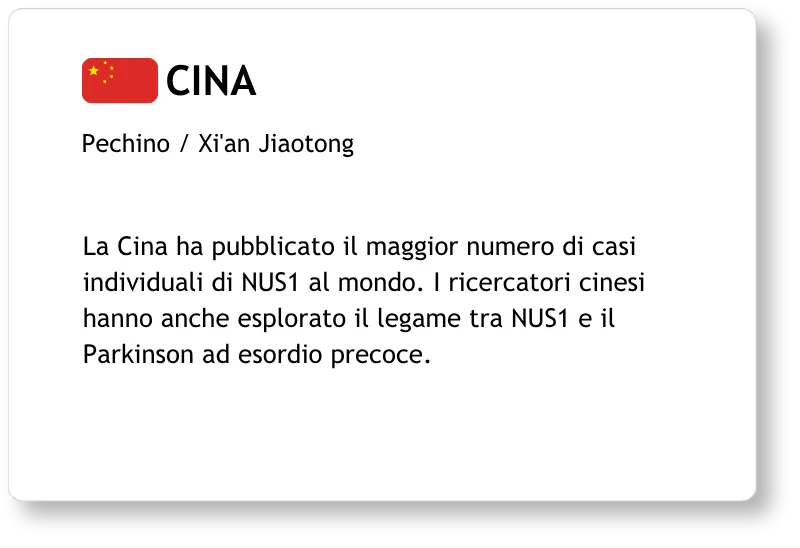 Il Team