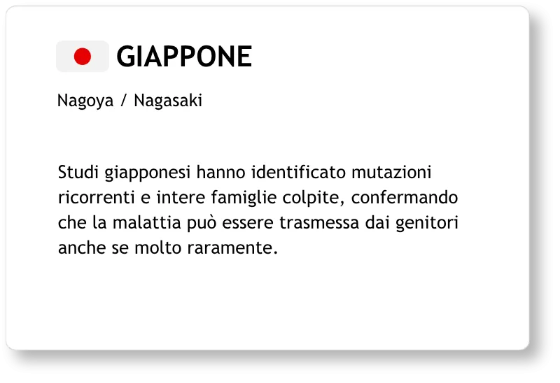 Il Team