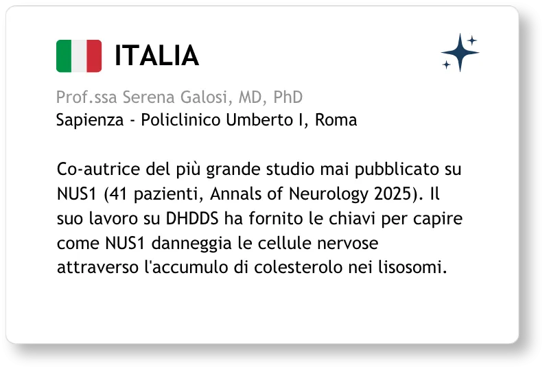 Il Team