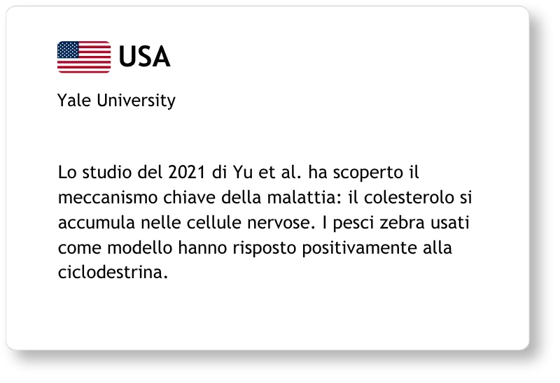 Il Team